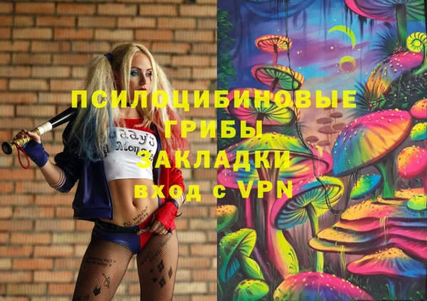 a pvp Каменка