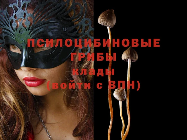 мдма Каменногорск