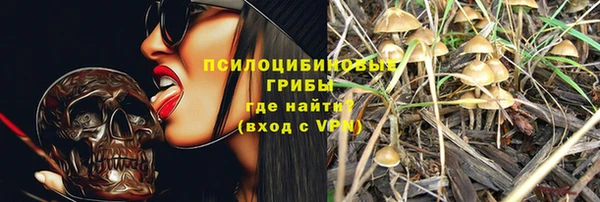 мдма Каменногорск